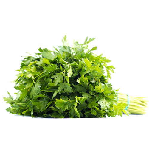 petruska-listova-500x500